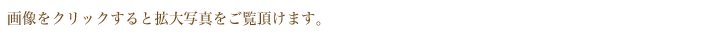 画像をクリックすると拡大写真をご覧頂けます